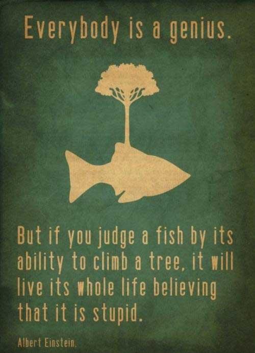 Albert Einstein quotes