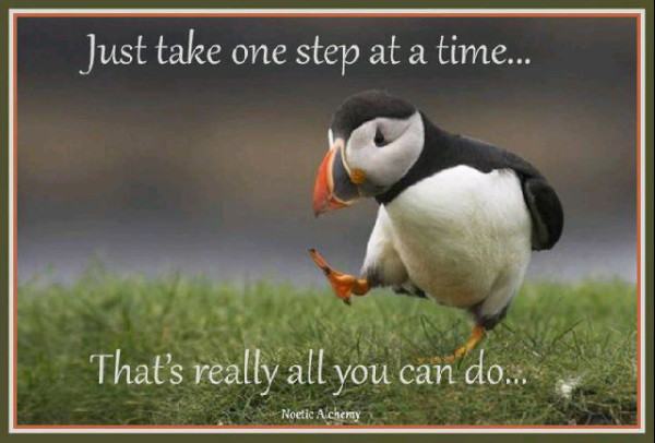 one step at a time
